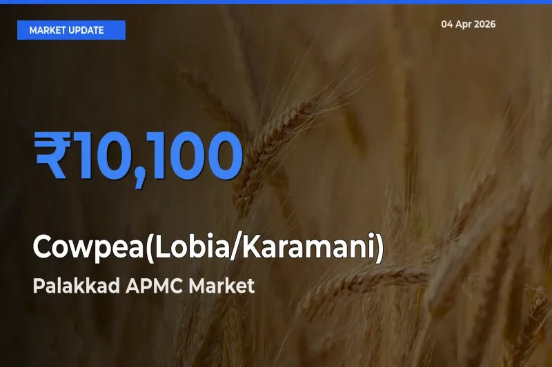 Palakkad APMC Tops Cowpea(Lobia/Karamani) Mandi Rates Today