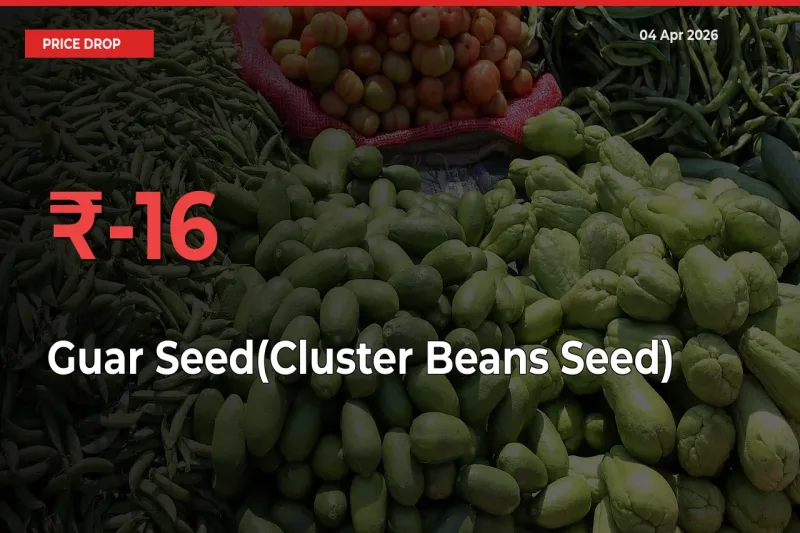 This Mandi Records 16.3% Fall in Guar Seed(Cluster Beans Seed) Prices
