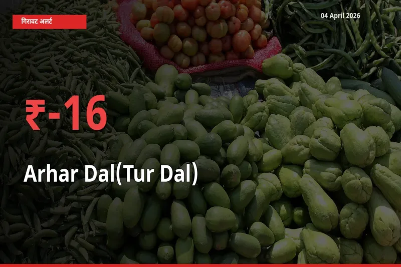 16.22% की गिरावट! मंडी में अरहर दाल के दाम अचानक टूटे