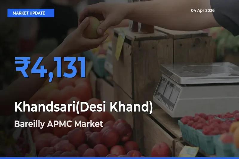 Bareilly APMC Records Highest ₹4,131 Rate for Khandsari(Desi Khand)
