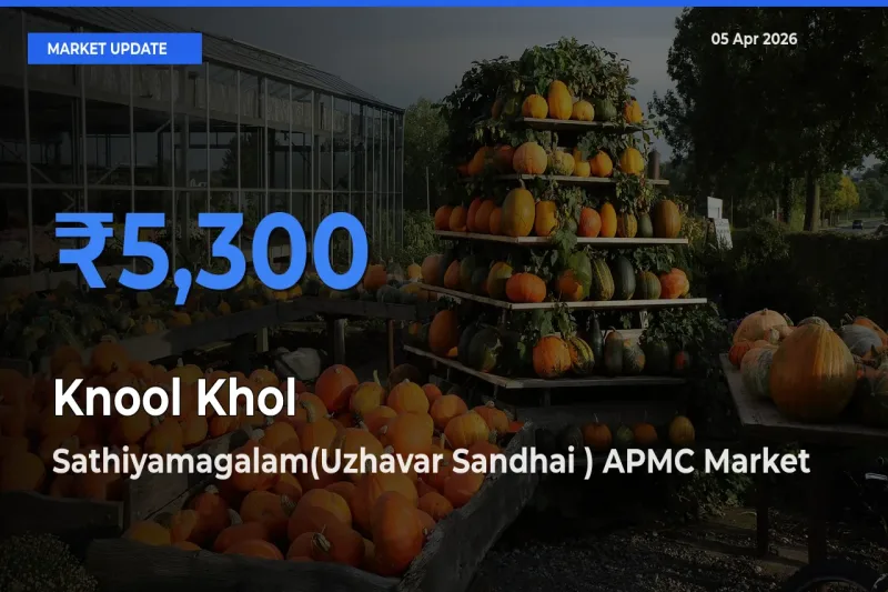 Sathiyamagalam(Uzhavar Sandhai ) APMC Tops Knool Khol Mandi Rates Today