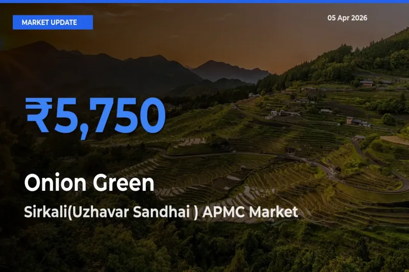 Market Watch: Sirkali(Uzhavar Sandhai ) APMC Becomes Top Mandi for Onion Green