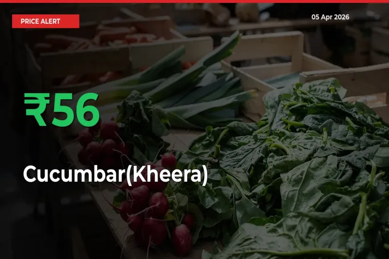 Sudden 56.35% Rally in Cucumbar(Kheera) Prices Across Mandis