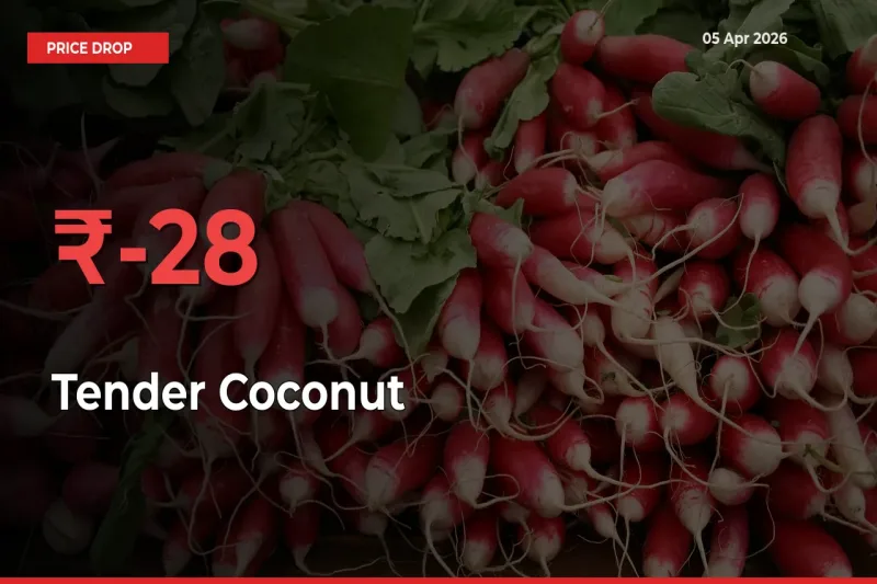Farmers Alert as Tender Coconut Prices Slide 28.28% in Local Mandis