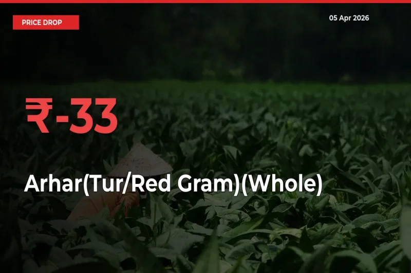 Arhar(Tur/Red Gram)(Whole) Prices Drop 33.06% – April 05 Market Update from Mandis