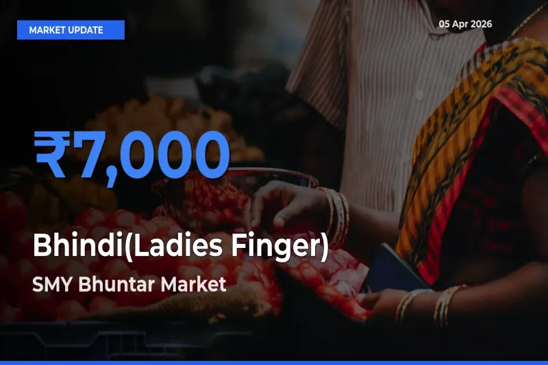 Farmers Prefer SMY Bhuntar as Bhindi(Ladies Finger) Hits Highest Rate
