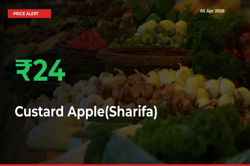 Custard Apple(Sharifa) Rises 24.44% at Mandis