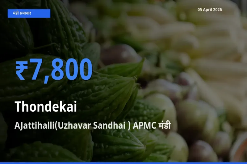 आज कुंदरू के सबसे ज़्यादा दाम AJattihalli(Uzhavar Sandhai ) APMC मंडी में दर्ज