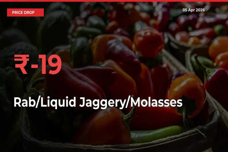 Rab/Liquid Jaggery/Molasses Prices Drop 19.01% in 24 Hours at Major Mandis