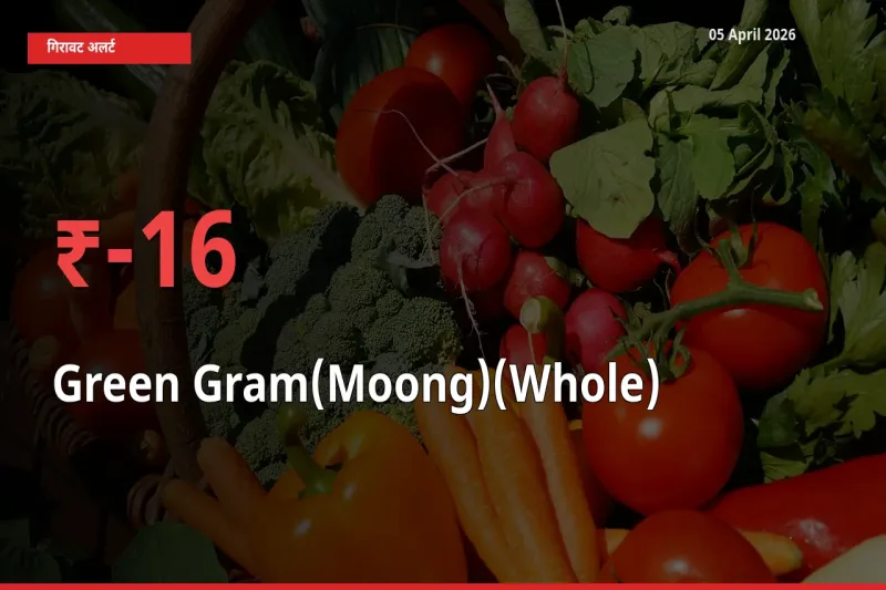05 April अपडेट: साबुत मूंग के दाम मंडी में 15.66% गिरे