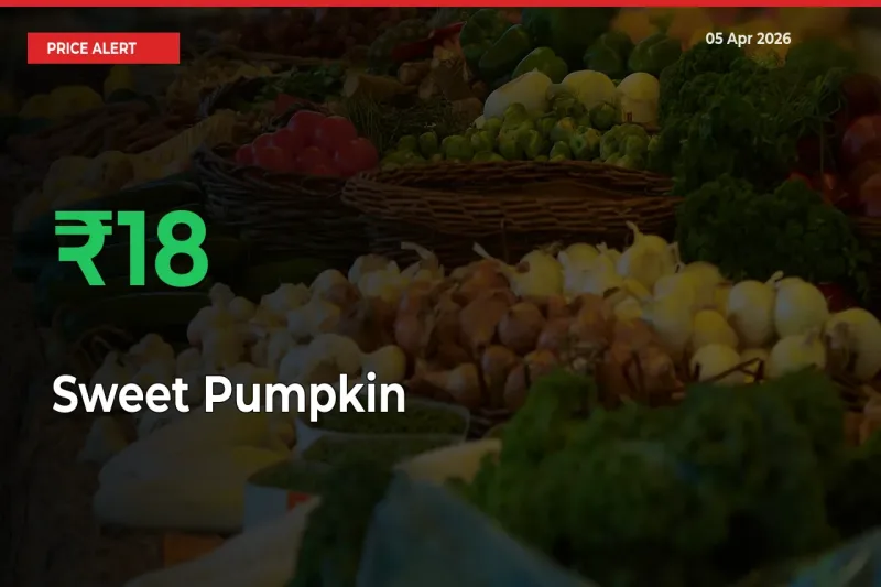 17.69% Spike in Sweet Pumpkin Prices – Mandi Sees Sudden Rally