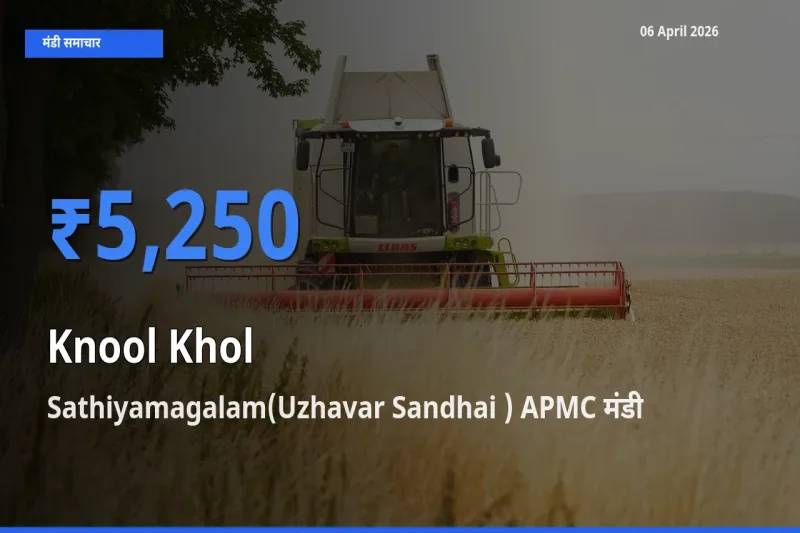 बाज़ार संकेत: Sathiyamagalam(Uzhavar Sandhai ) APMC बना गांठगोभी के लिए आज की टॉप मंडी