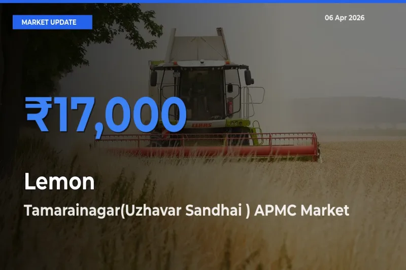 Tamarainagar(Uzhavar Sandhai ) APMC Tops Lemon Rates – April 06 Market Update