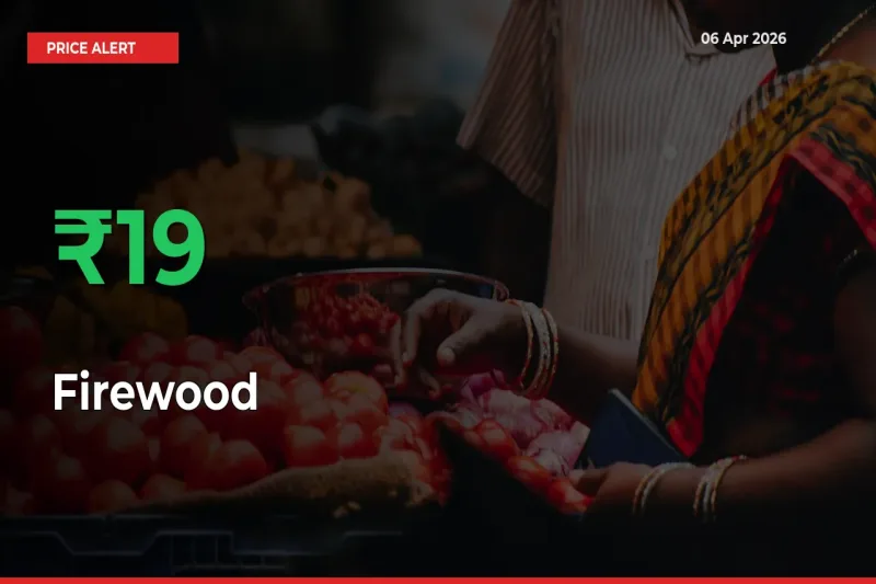 Farmers Cheer as Firewood Prices Surge 19.08% in Local Mandis