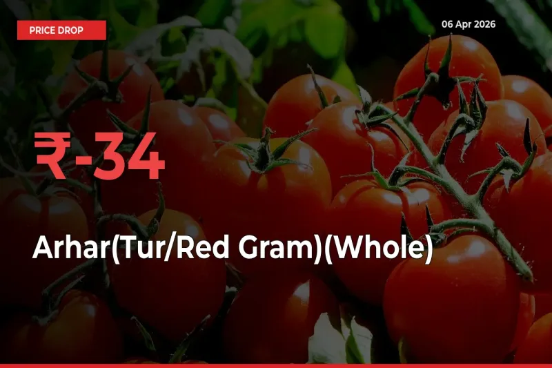 34.43% Drop in Arhar(Tur/Red Gram)(Whole) Prices – Mandi Sees Sudden Fall
