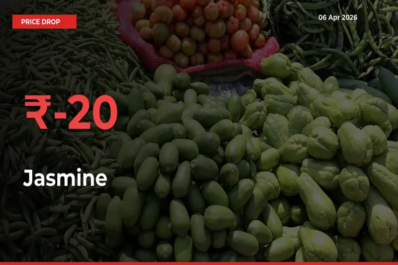 Why Jasmine Prices Fell 19.55% in a Day at Mandis