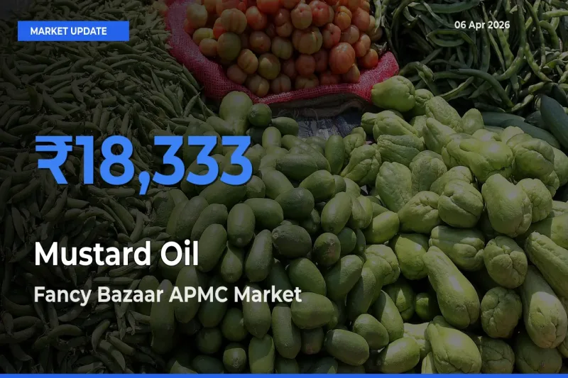 Fancy Bazaar APMC Offers ₹18,333 – Highest Mustard Oil Rate Today