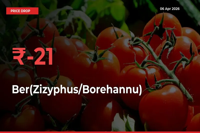 Ber(Zizyphus/Borehannu) Falls 21.49% at Mandis