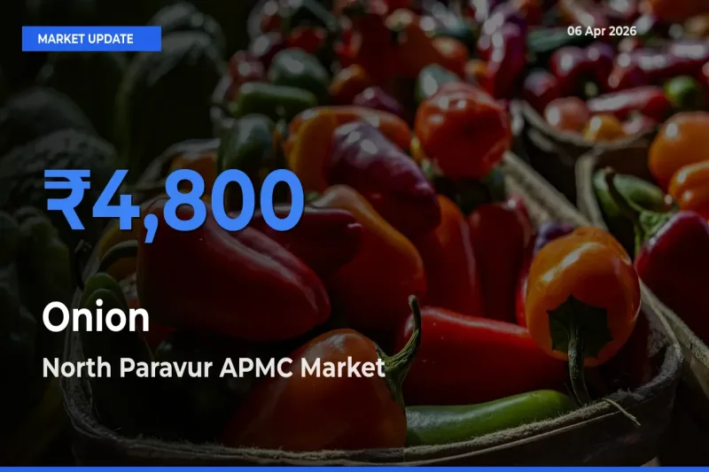 Onion Mandi Rate Today: North Paravur APMC Tops the List