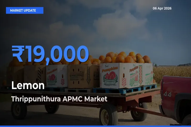 Lemon Mandi Rate Today: Thrippunithura APMC Tops the List