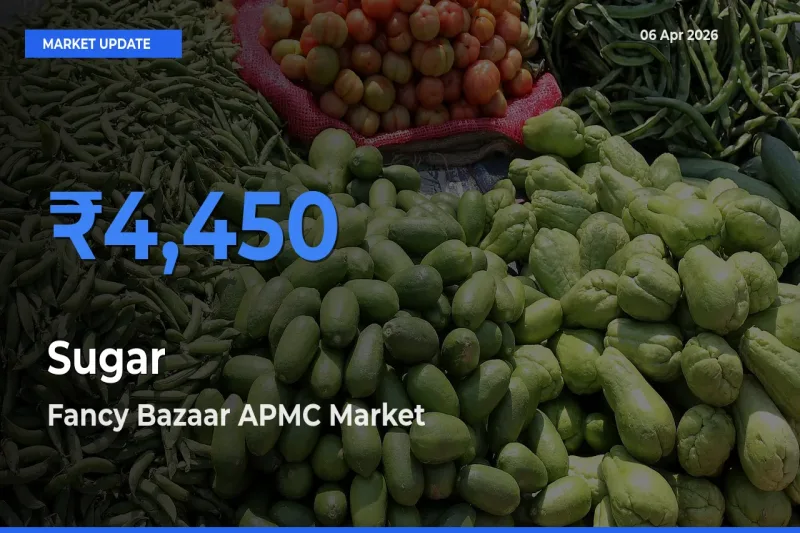 Fancy Bazaar APMC Tops Sugar Mandi Rates Today
