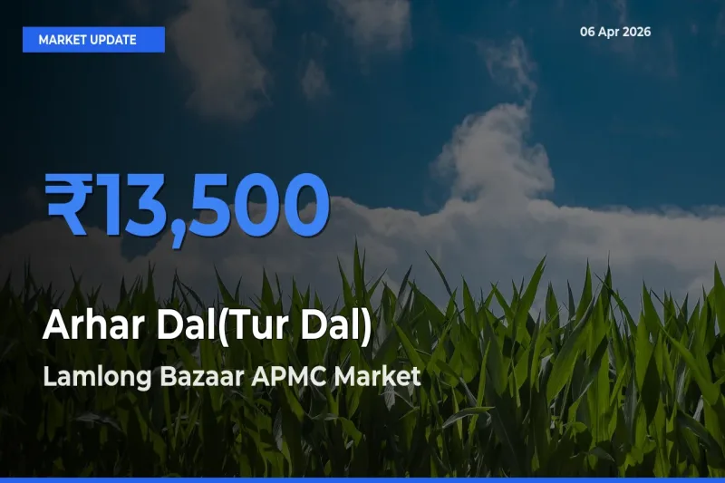 Lamlong Bazaar APMC Leads as Top Mandi for Arhar Dal(Tur Dal) Prices