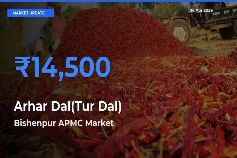 Bishenpur APMC Emerges as Top Mandi for Arhar Dal(Tur Dal) Prices Today