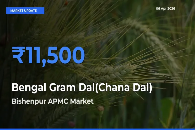 Bishenpur APMC Tops Bengal Gram Dal(Chana Dal) Mandi Rates Today