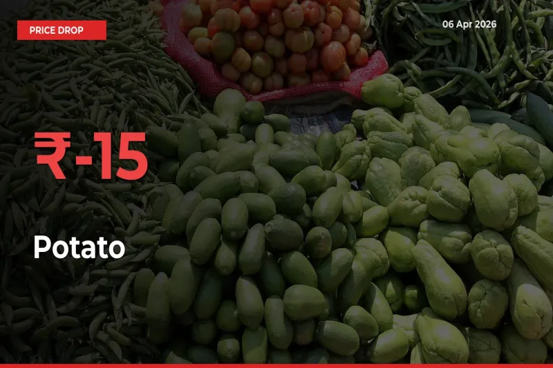 Farmers Alert as Potato Prices Slide 15.01% in Local Mandis