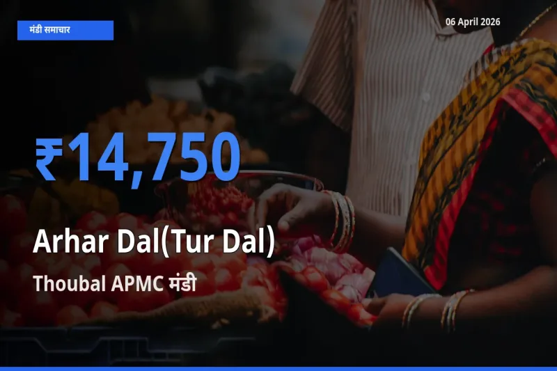 किसानों की पसंद बना Thoubal APMC, अरहर दाल के सबसे अच्छे दाम