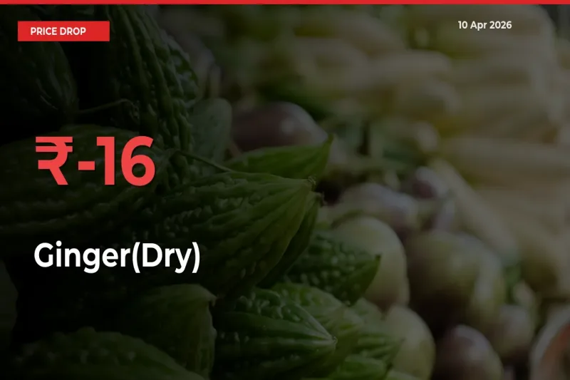 Ginger(Dry) Prices Drop 15.76% – April 10 Market Update from Mandis