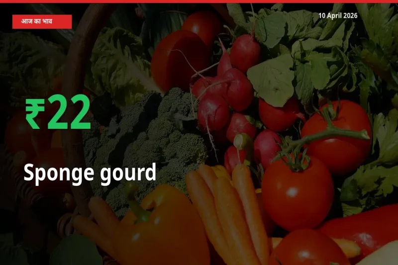स्थानीय मंडी में तोरई (नेनुआ) के दाम अचानक 22.34% उछले, किसान सतर्क