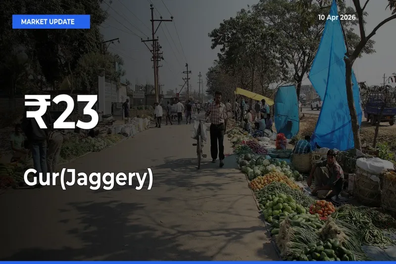 Multi-Mandi Trend Emerges as Gur(Jaggery) Prices Shift Across Key Markets