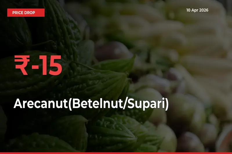 Arecanut(Betelnut/Supari) Mandi Rate Today: Prices Fall 15.22% at Market