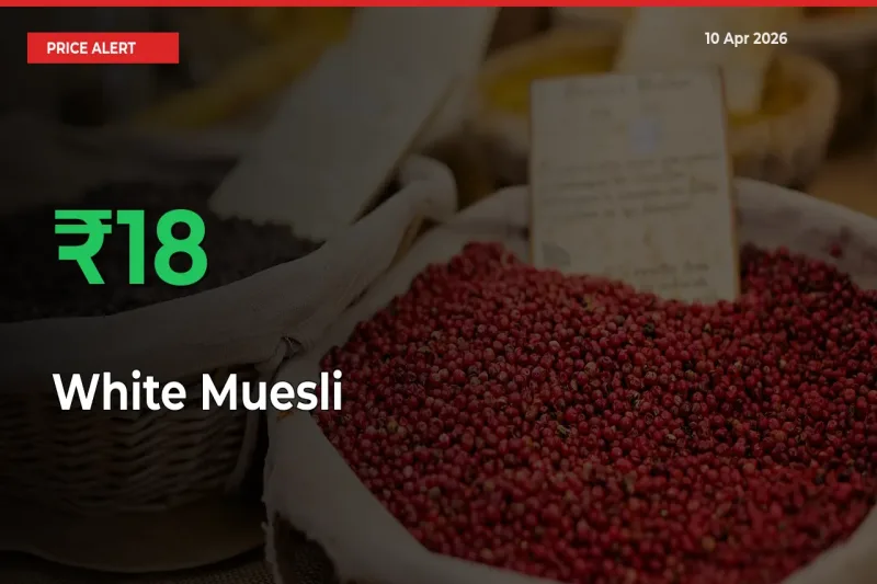 Sharp Jump! White Muesli Prices Climb 17.92% in 24 Hours at Key Mandis