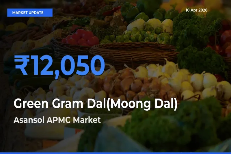 Market Watch: Asansol APMC Becomes Top Mandi for Green Gram Dal(Moong Dal)