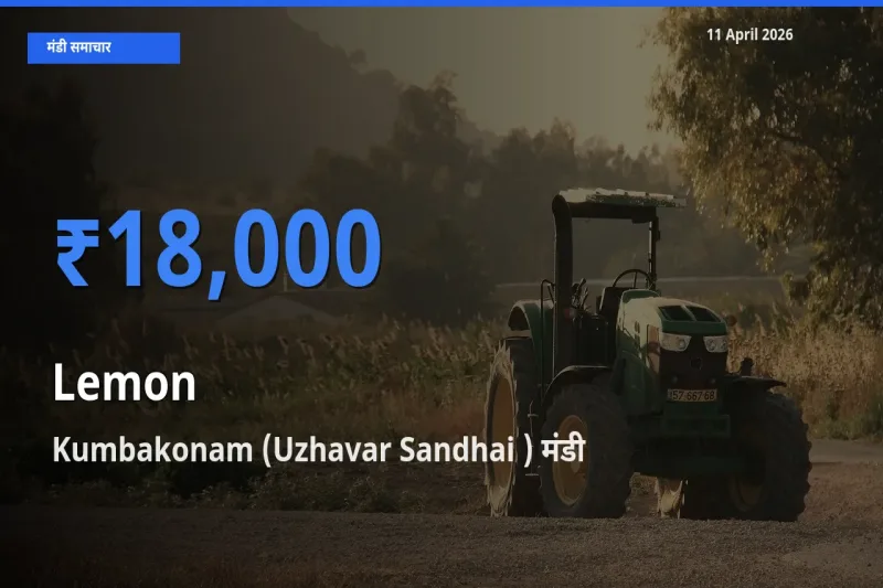 बाज़ार संकेत: Kumbakonam (Uzhavar Sandhai ) बना नींबू के लिए आज की टॉप मंडी