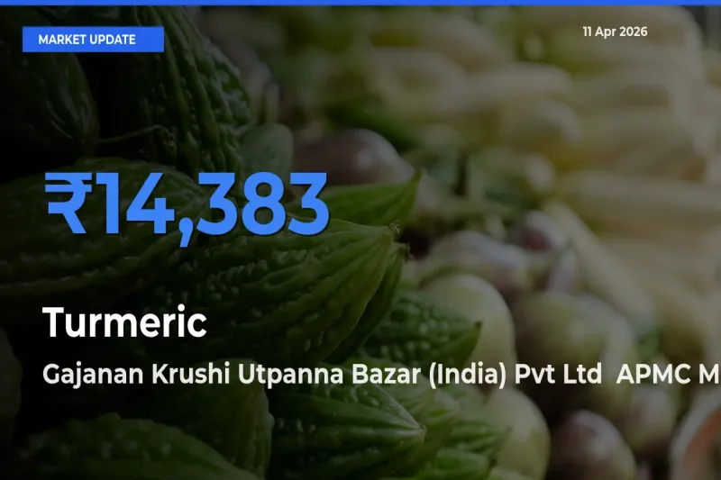 Gajanan Krushi Utpanna Bazar (India) Pvt Ltd  APMC Tops Turmeric Mandi Rates Today
