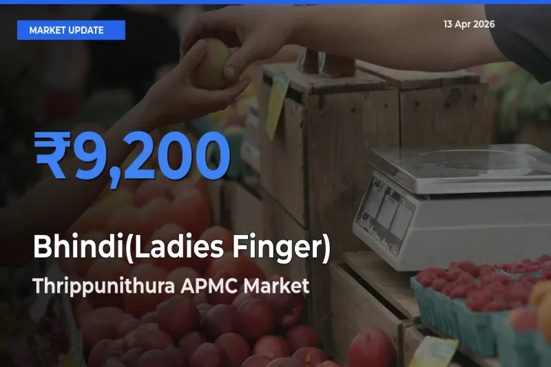 Thrippunithura APMC Emerges as Top Mandi for Bhindi(Ladies Finger) Prices Today