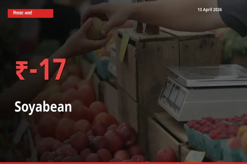 बाज़ार संकेत: सोयाबीन के भाव मंडी में 17.09% नीचे