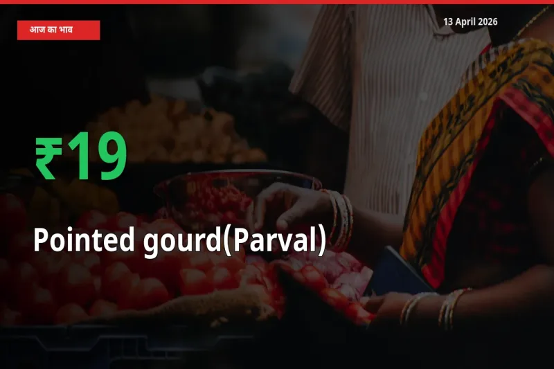 आज का मंडी भाव: परवल के दाम मंडी में 19.14% ऊपर