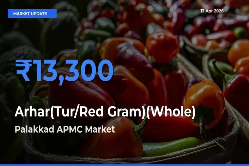 Top Performer! Palakkad APMC Offers Best Arhar(Tur/Red Gram)(Whole) Price Today