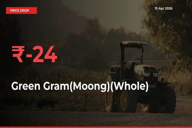 Farmers Alert as Green Gram(Moong)(Whole) Prices Slide 23.8% in Local Mandis
