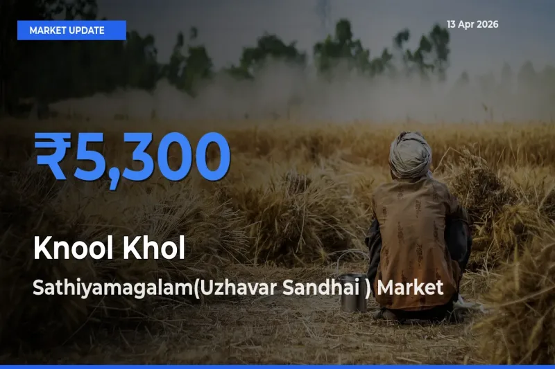 Sathiyamagalam(Uzhavar Sandhai ) Leads as Top Mandi for Knool Khol Prices