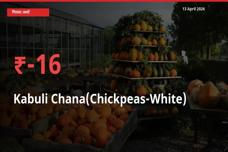 बाज़ार संकेत: काबुली चना के भाव मंडी में 16.42% नीचे