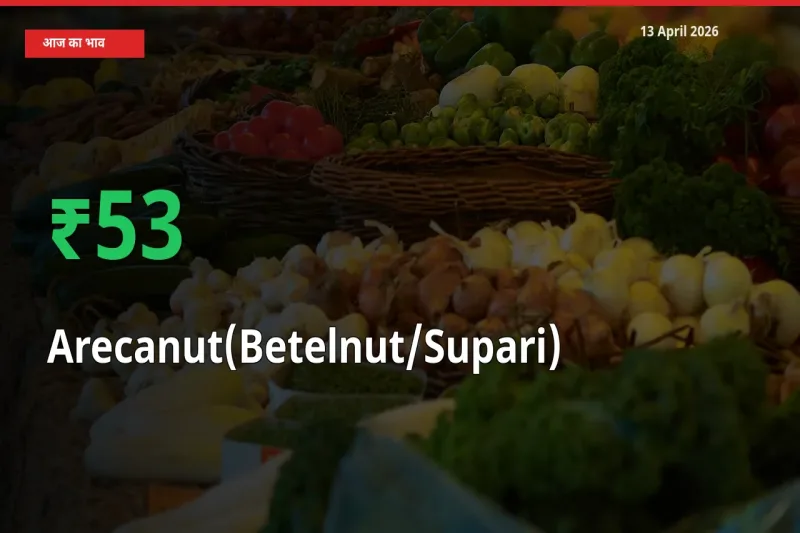 अचानक तेजी! मंडी में सुपारी के दाम 53.48% चढ़े