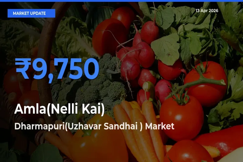 Dharmapuri(Uzhavar Sandhai ) Tops Amla(Nelli Kai) Mandi Rates Today