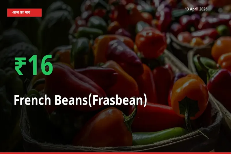बाज़ार संकेत: फ़्रेंच बीन्स (फ़्रासबीन) के भाव मंडी में 15.96% ऊपर