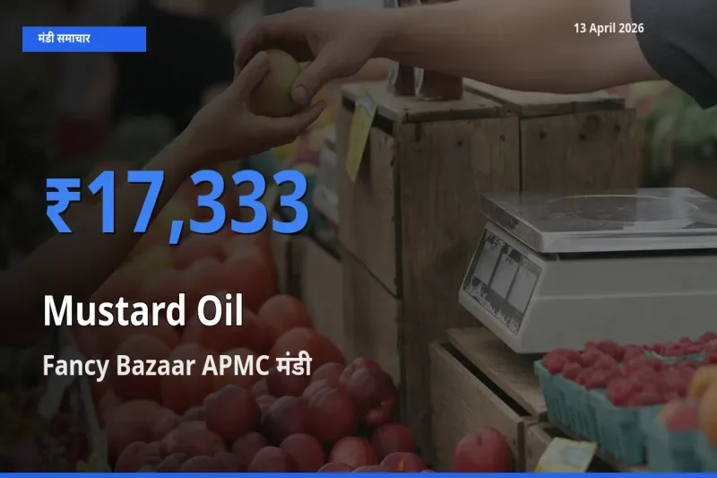 Fancy Bazaar APMC मंडी में सरसों का तेल ₹17,333 पर पहुँचा – आज का सर्वोच्च भाव
