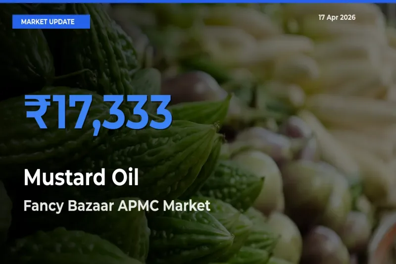 Fancy Bazaar APMC Tops Mustard Oil Rates – April 17 Market Update
